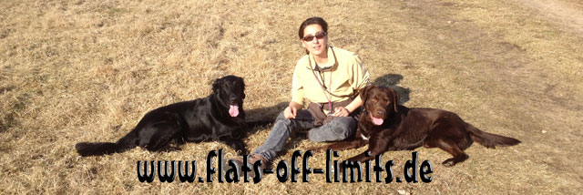 www.flats-off-limits.de