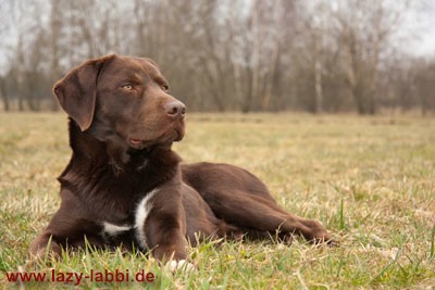 das bin ich (13.03.2011)